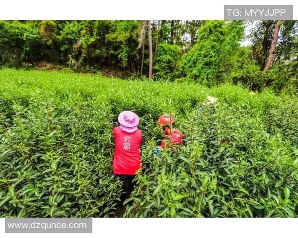贝尔揭秘自己中文外号背后的故事与文化含义